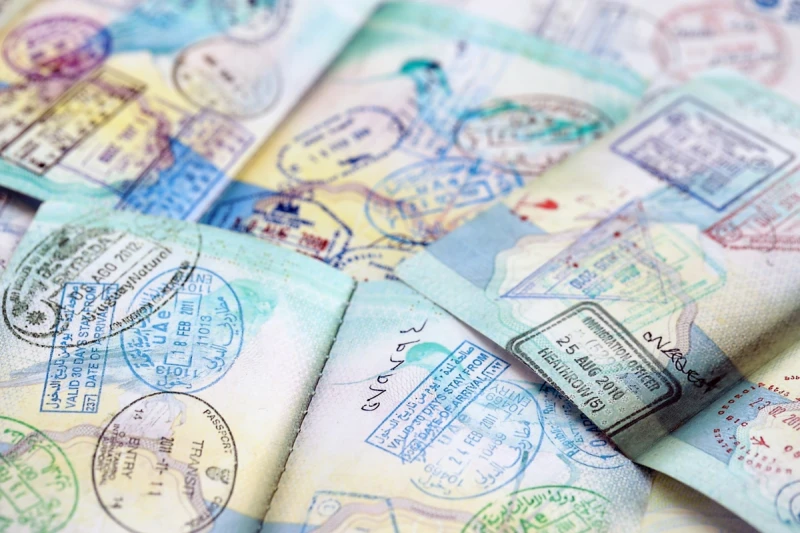 30 Days Multiple Entry Visa