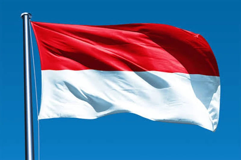 Indonesia Visa Assistance